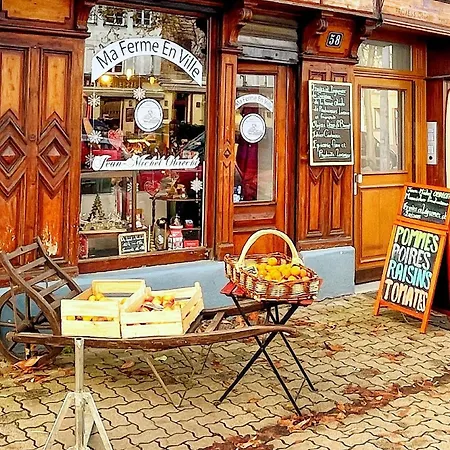 Chez Samuel 3 Pieces Au Coeur De La Krutenau Appartement Straatsburg