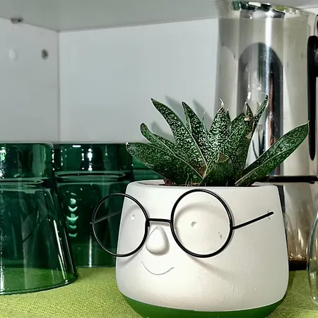 Chez Samuel 3 Pieces Au Coeur De La Krutenau Appartement