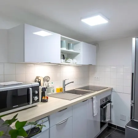 Apartamento Chez Samuel 3 Pieces Au Coeur De La Krutenau