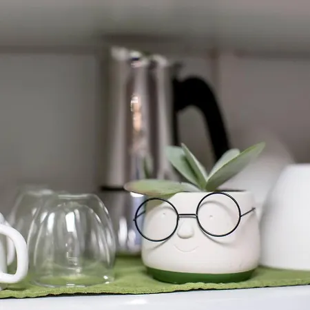 Chez Samuel 3 Pieces Au Coeur De La Krutenau דירה