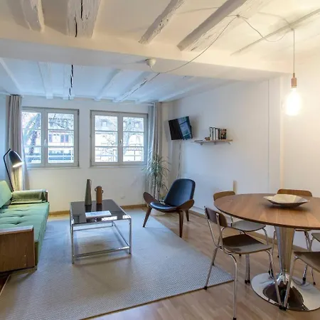 Apartman Chez Samuel 3 Pieces Au Coeur De La Krutenau